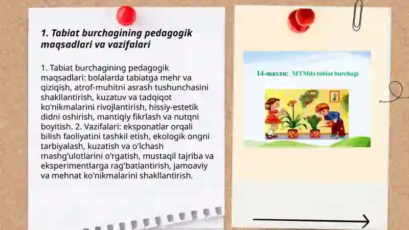 Tabiat burchagini tashkil etish 3