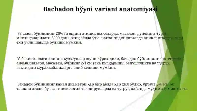 Bachadon bўyni variant anatomiyasi 3