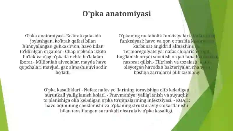 O'Pkaning Metabolik Funksiyalari Va Ularning Buzilishlari 3