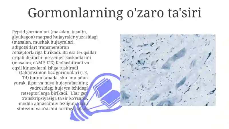 Gormonlarning nishon hujayralarga tasir mexanizmi 3