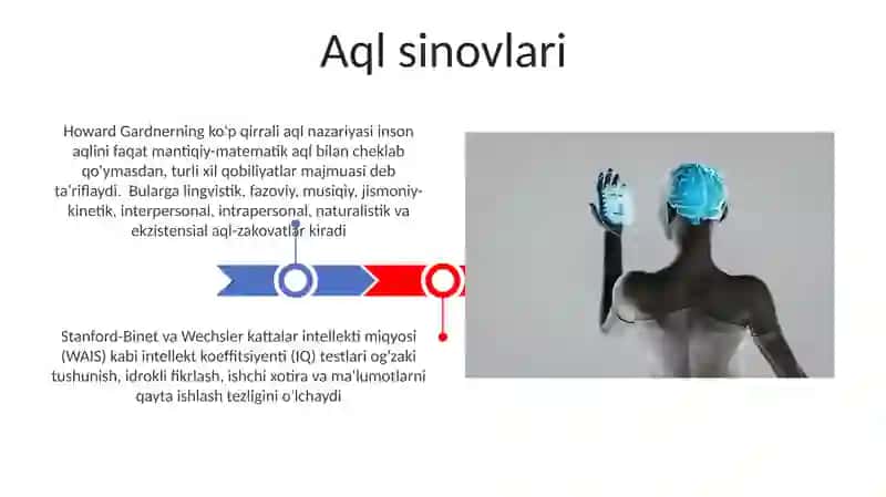 Intelekt haqida tushuncha 3