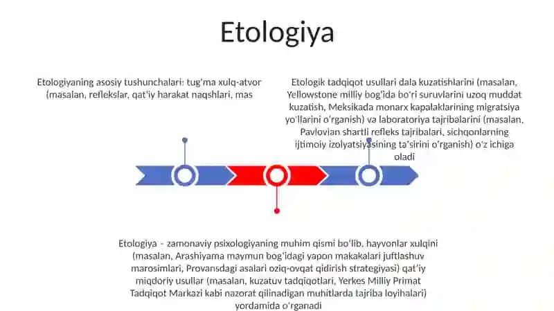 Psixologiyaning tabiiy ilmiy asoslari 3