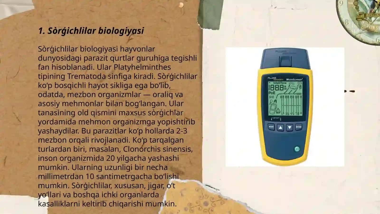 Sòrģichlilar biologiyasi 3