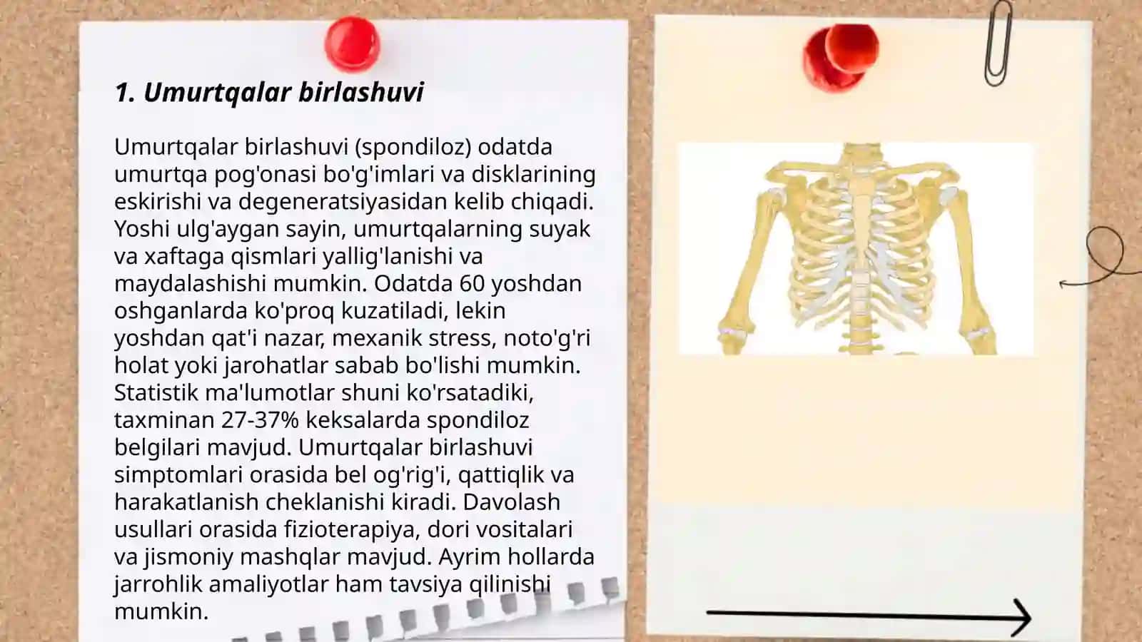 Umurtqalar birlashuvi 3