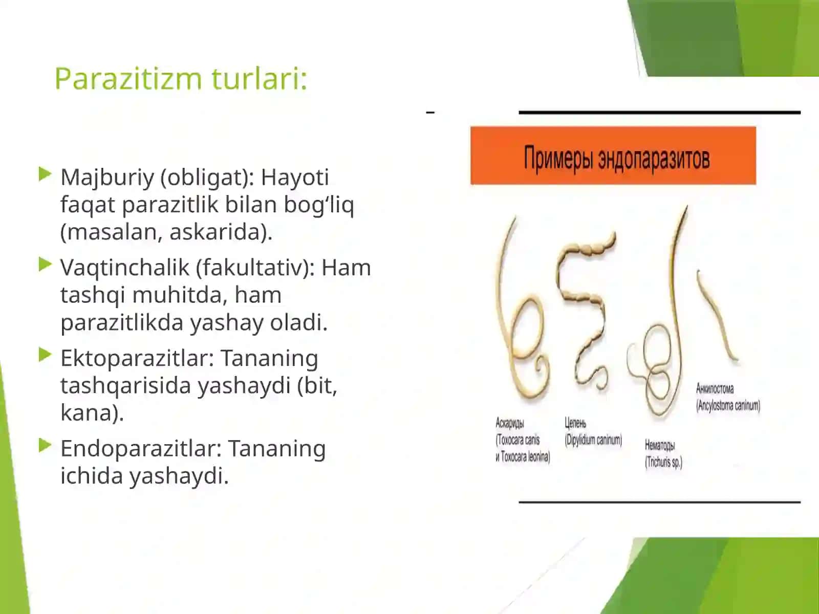 Tibbiy protozoologiya 3