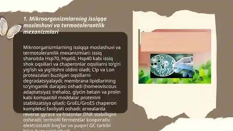 Mikroorganizmlarning muhitga moslashuvi 3