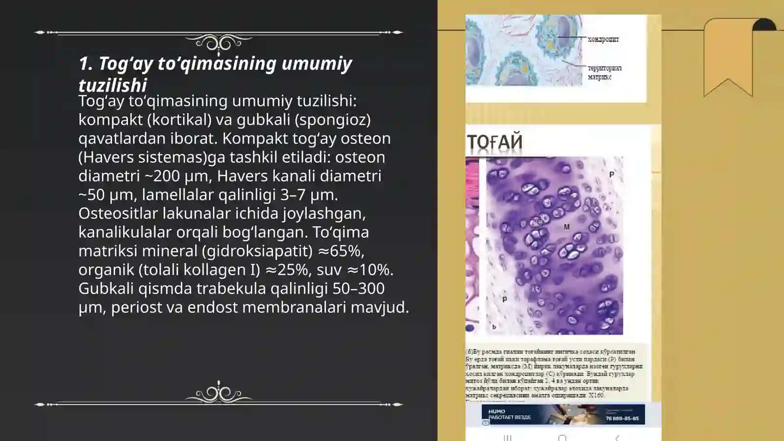 Togʻay toʻqimasi 3