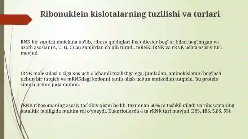 Ribonukleinkislotalar 3