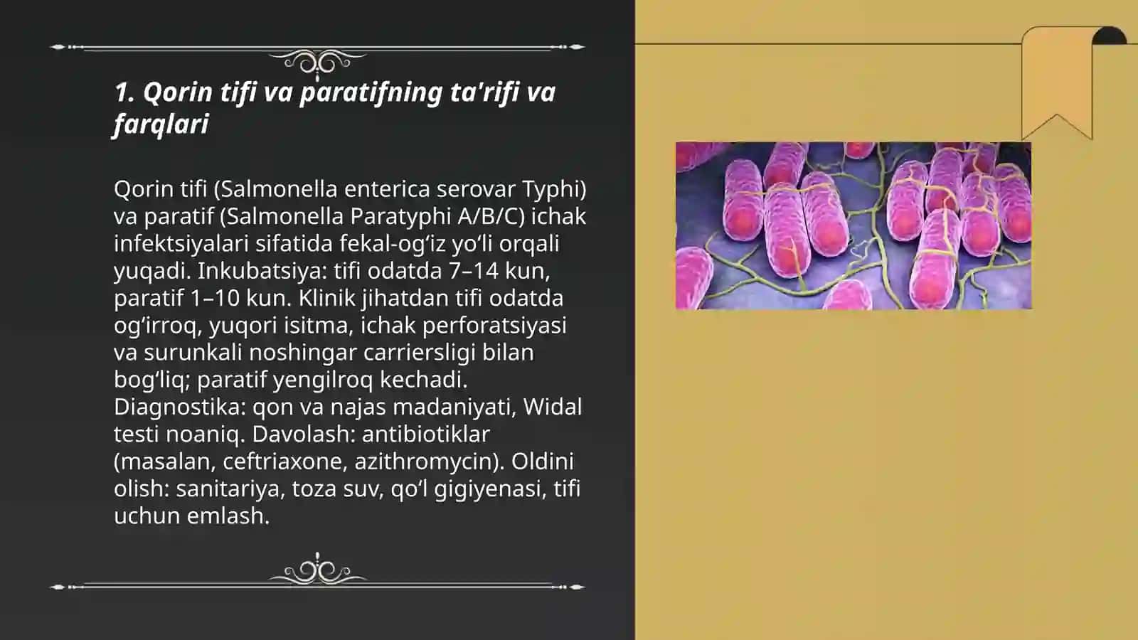 Ichak infeksiyalari qorin tifi va paratif 3