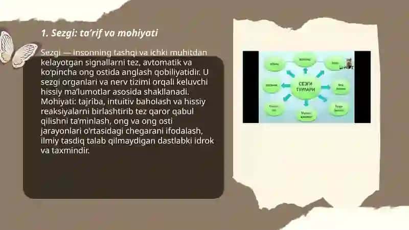 Sezgi 3