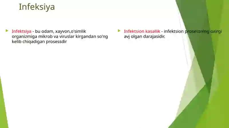 Shartlipatagen anaerob kokklar 3