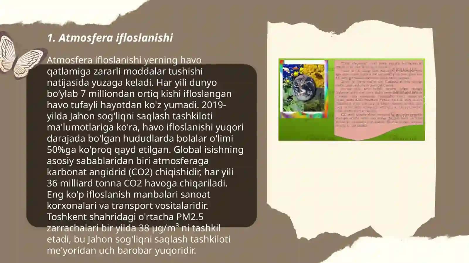 Ekologik muammolar 3