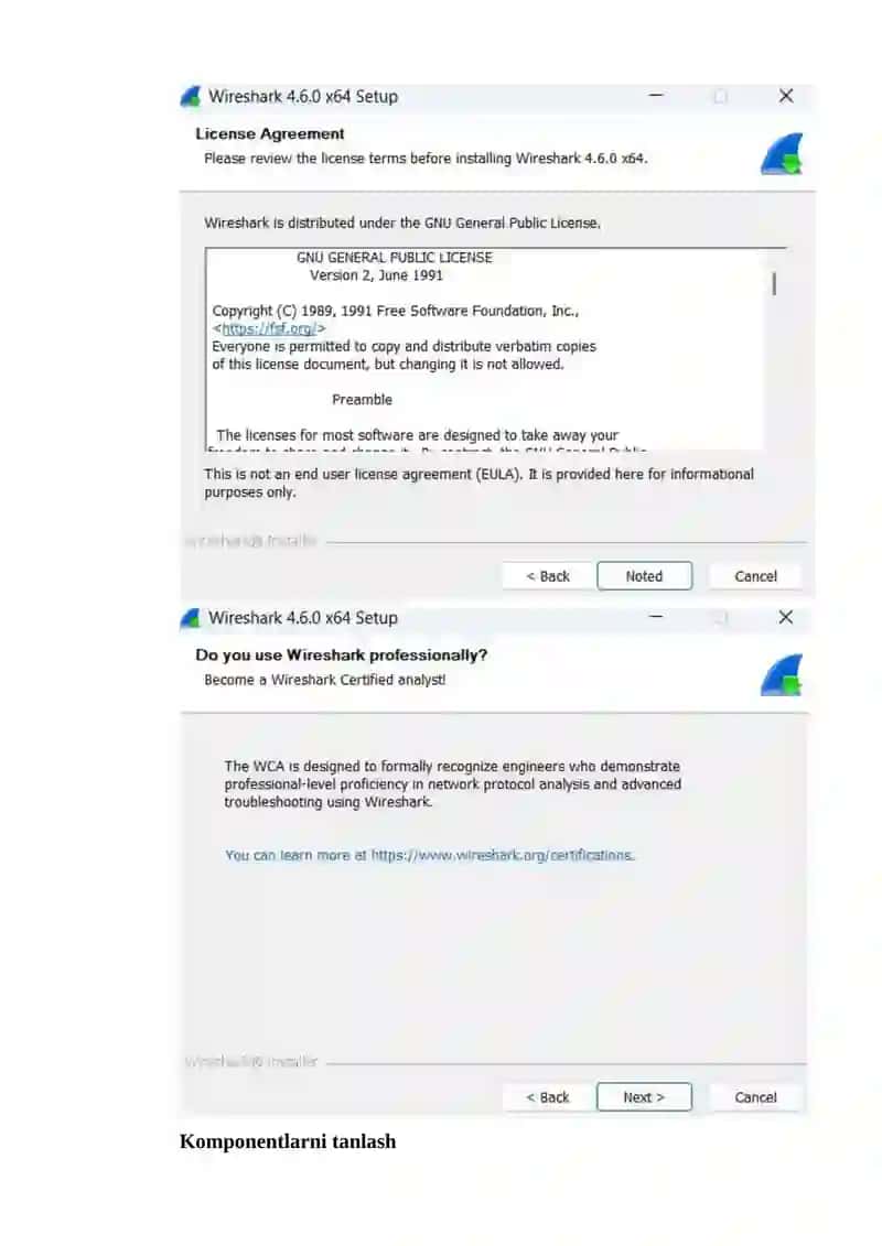 Wireshark dasturini o‘rnatish 3