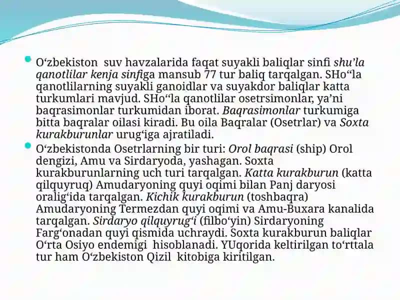 O`zbekistondagi baliqlar ekologiyasi 3