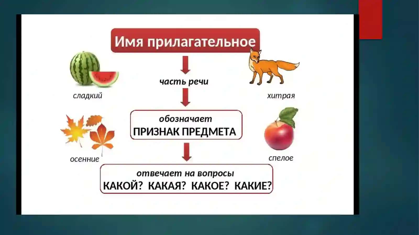 Имя прилагательное и его классификация 3