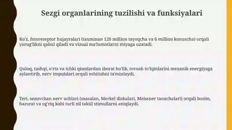 Insonning sezgi organlari 3