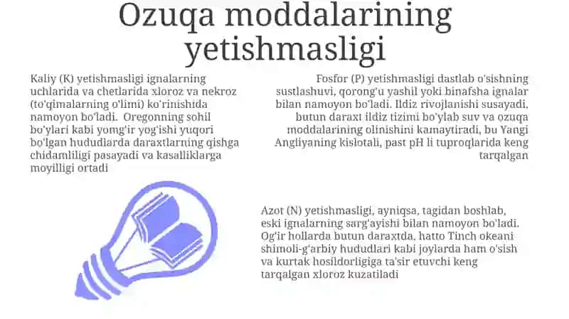 Yelka kamari mushaklari 3