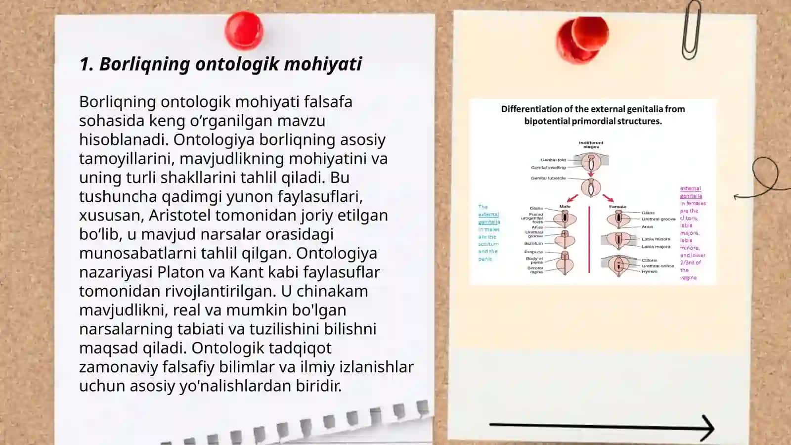 Borliqning ontologik mohiyati 3