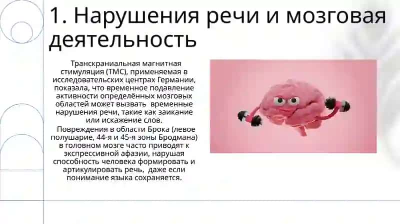 Головной мозг.Стили речи 3