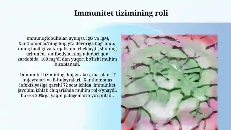 Xivchinlilar odam parazitlari 3