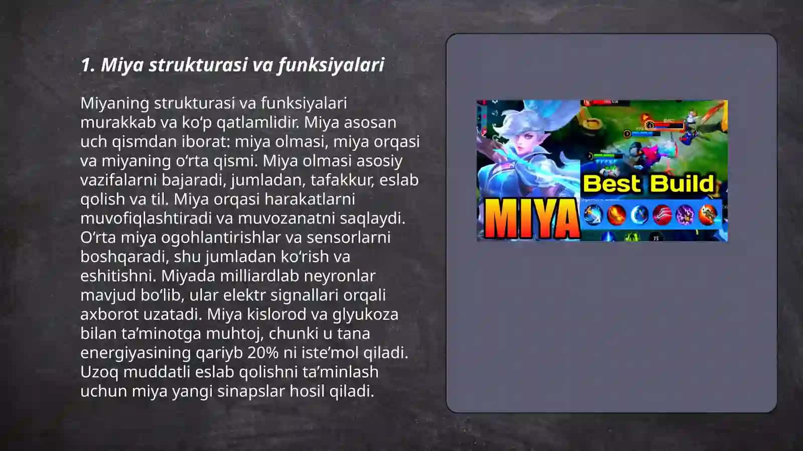 Miya faoliyati 3