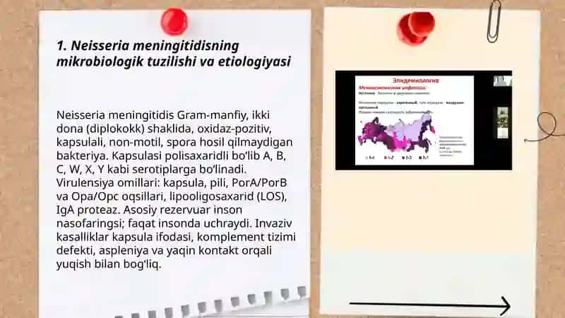 Meningokokk infeksiyasi 3