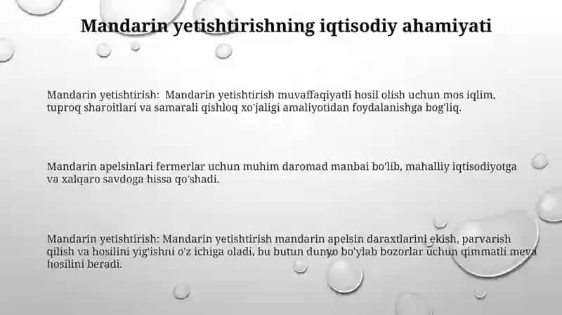 Mandarin yetishtirish 3