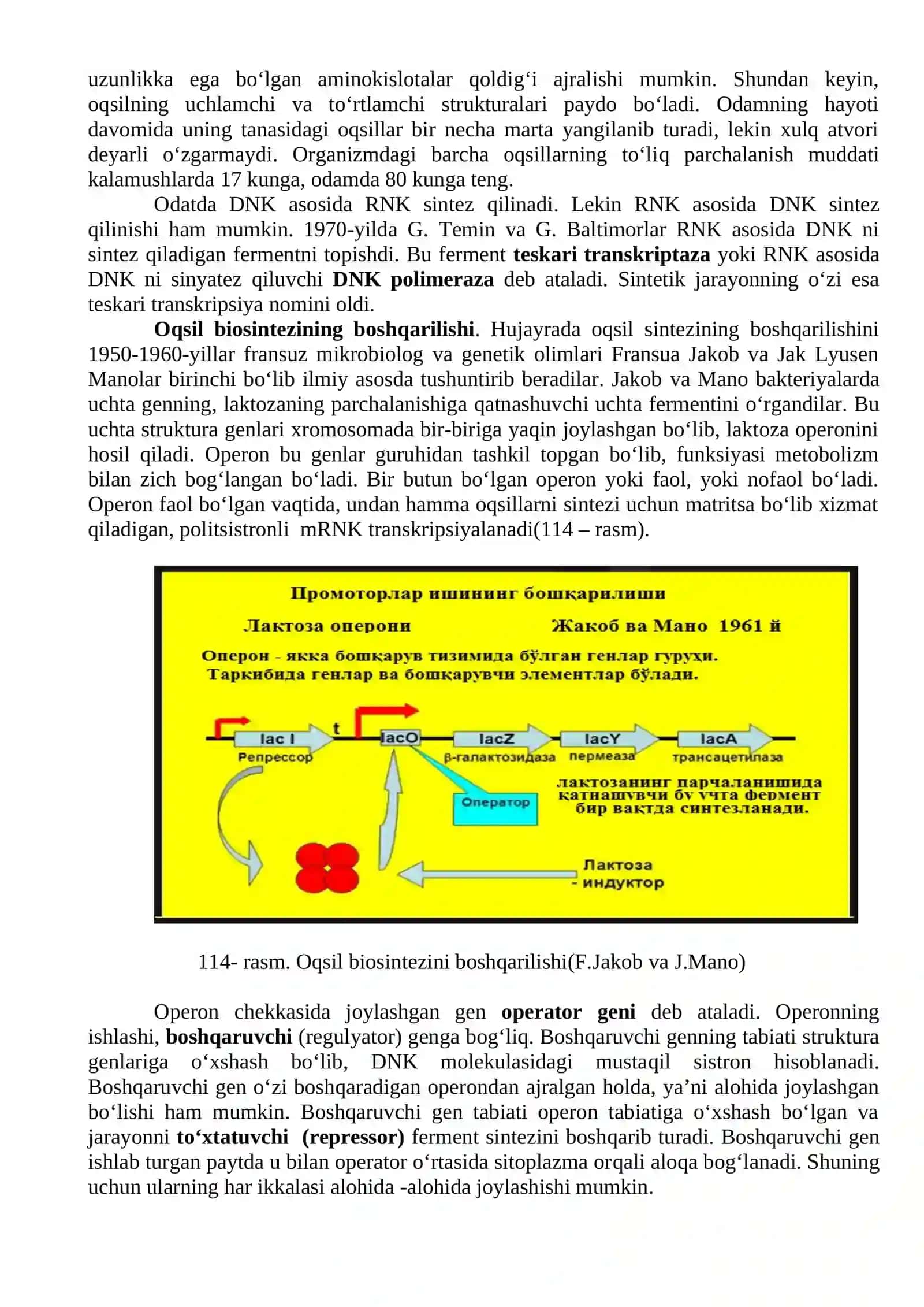 OQSIL BIOSINTEZI 3