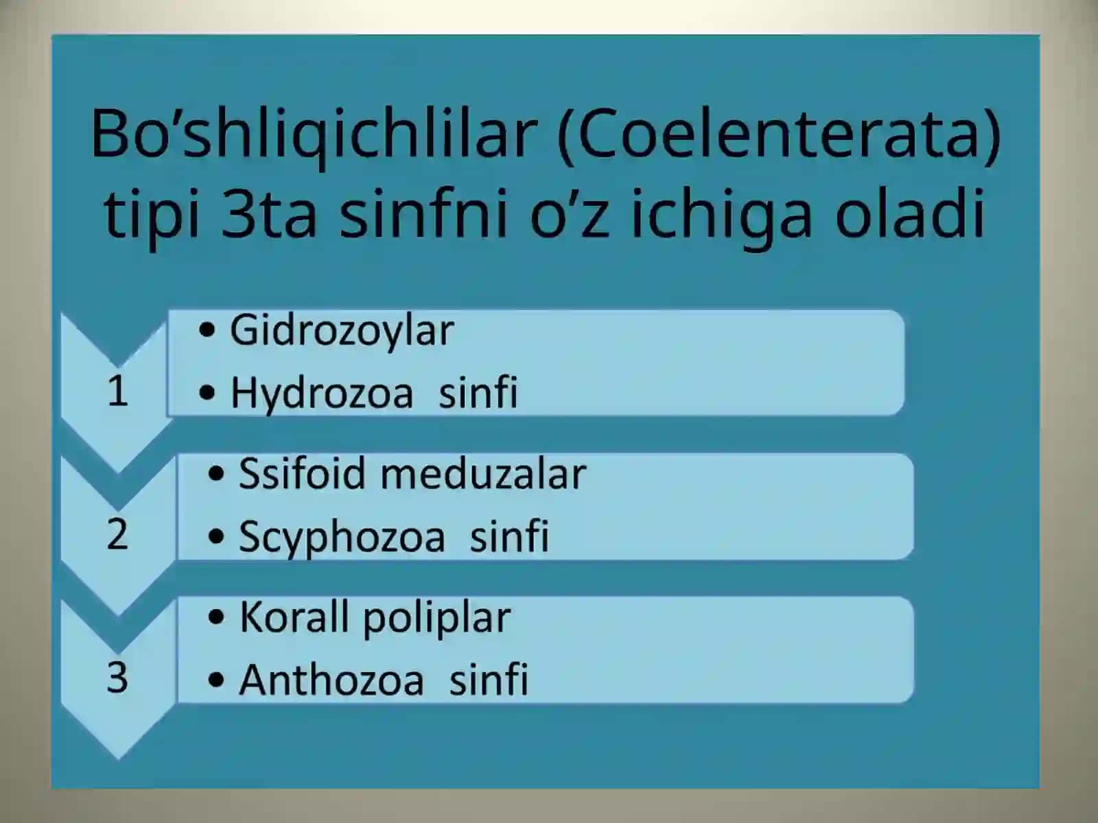 REFERATI 3