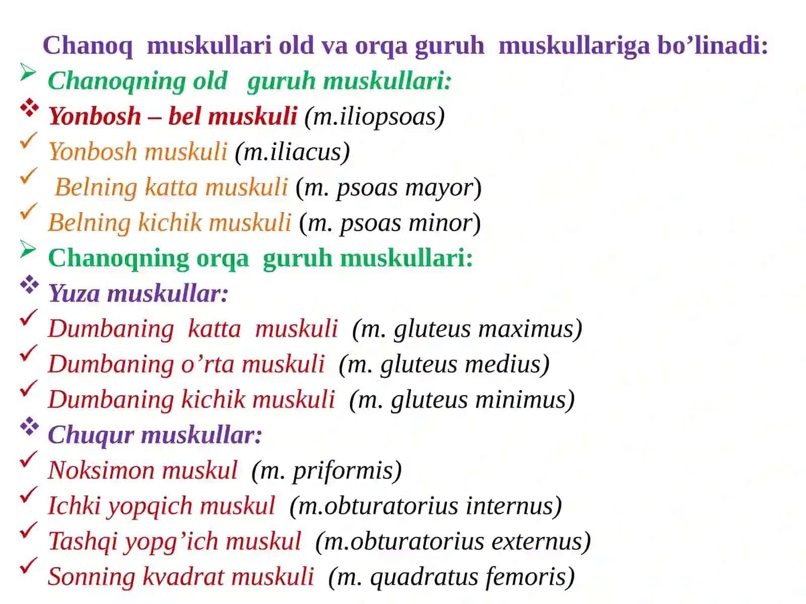 Miologiya. Oyoq muskullari 3
