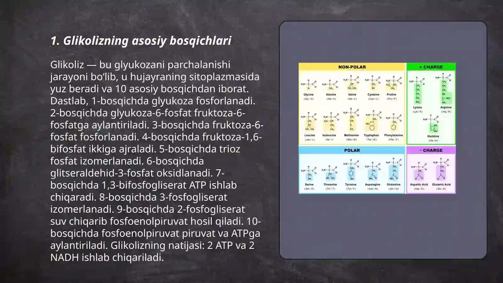 Jigarda glikoliz va glikoneogenezni boshqarilishi 3