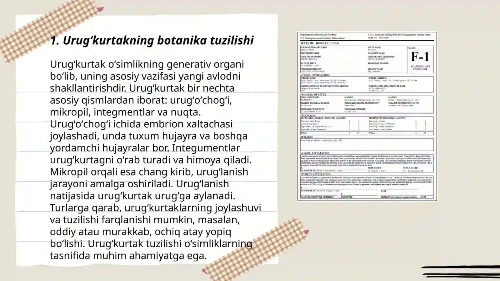 Urugʻkurtakning botanika tuzilishi 3
