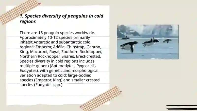 Mavzu: Penguins - The flightless birds of the cold 3