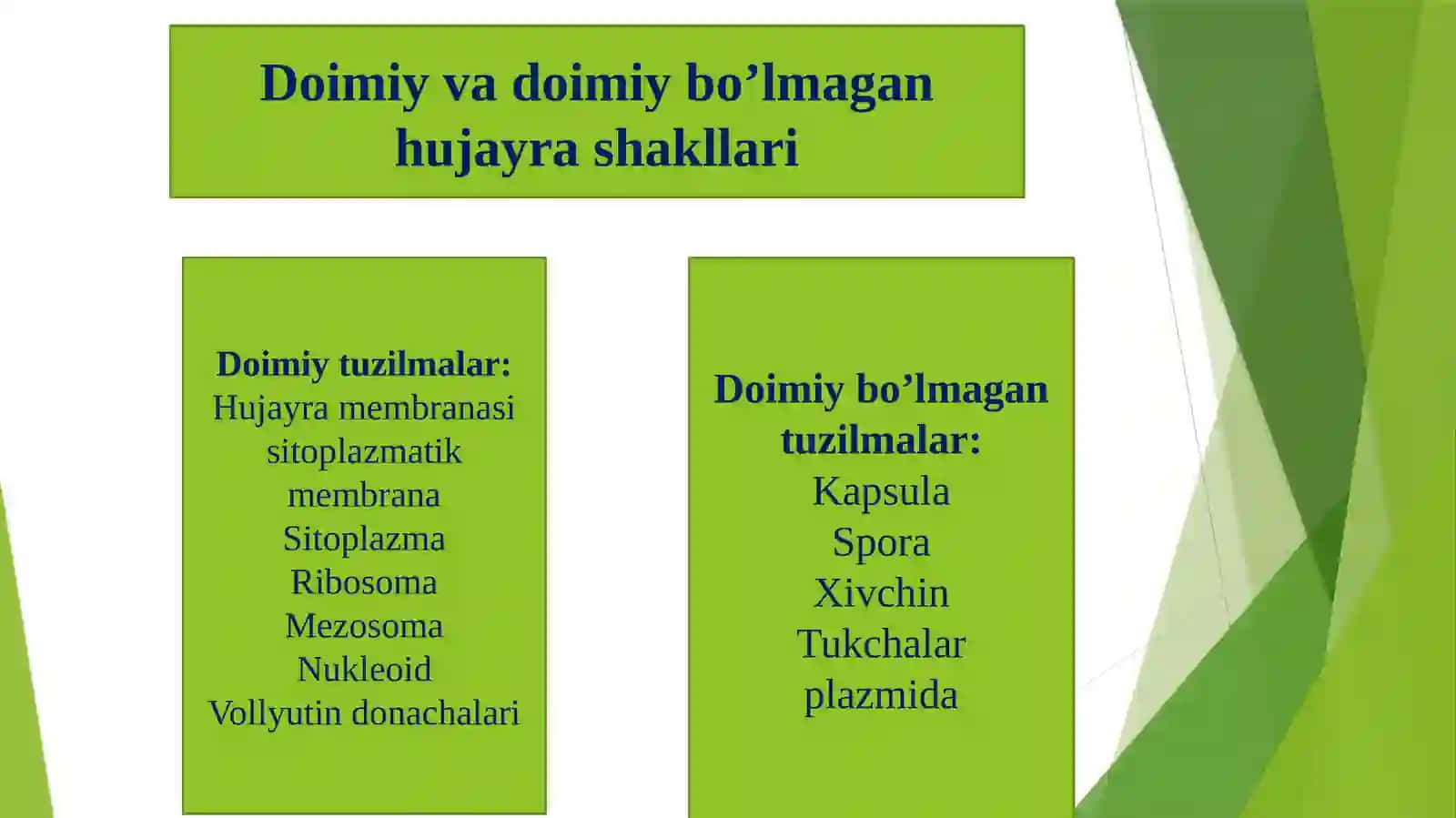 Bakteriyahujayrasining tuzilishi 3