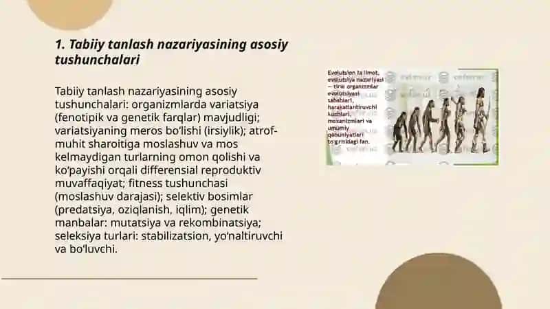 Tabiiy va jinsiy tanlashish nazaryasi 3