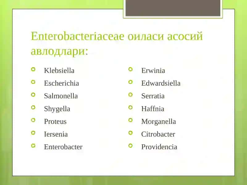 Ичак инфекциялари 3