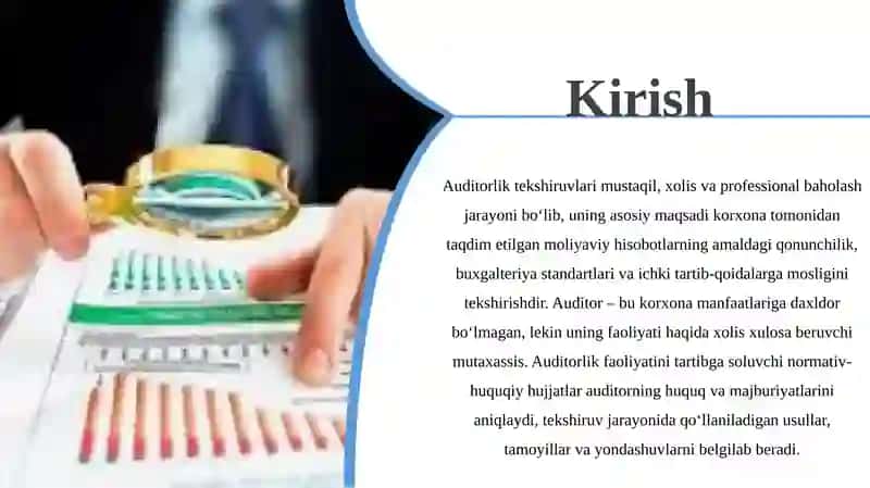 Auditorlik tekshiruvi 3