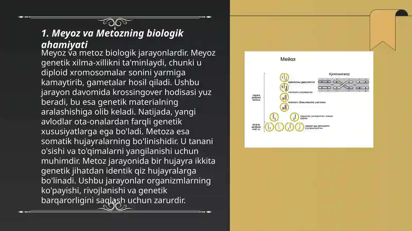 Meyoz va Metoz 3