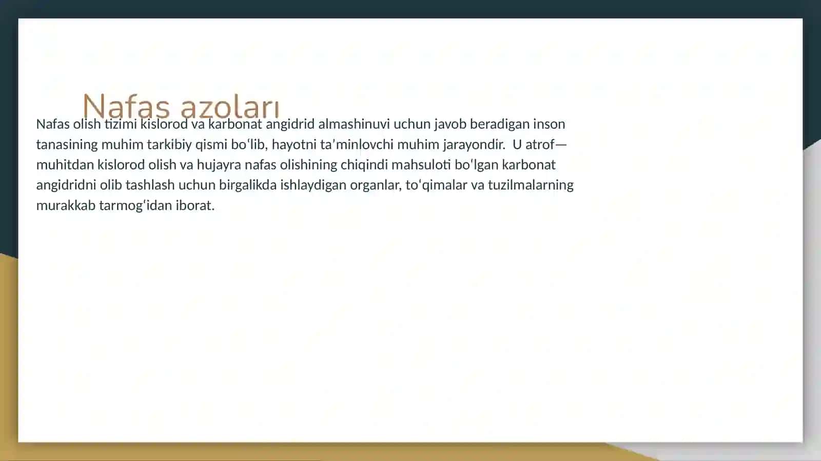 Nafas yöllarıga kıruvchı a'zolar 3