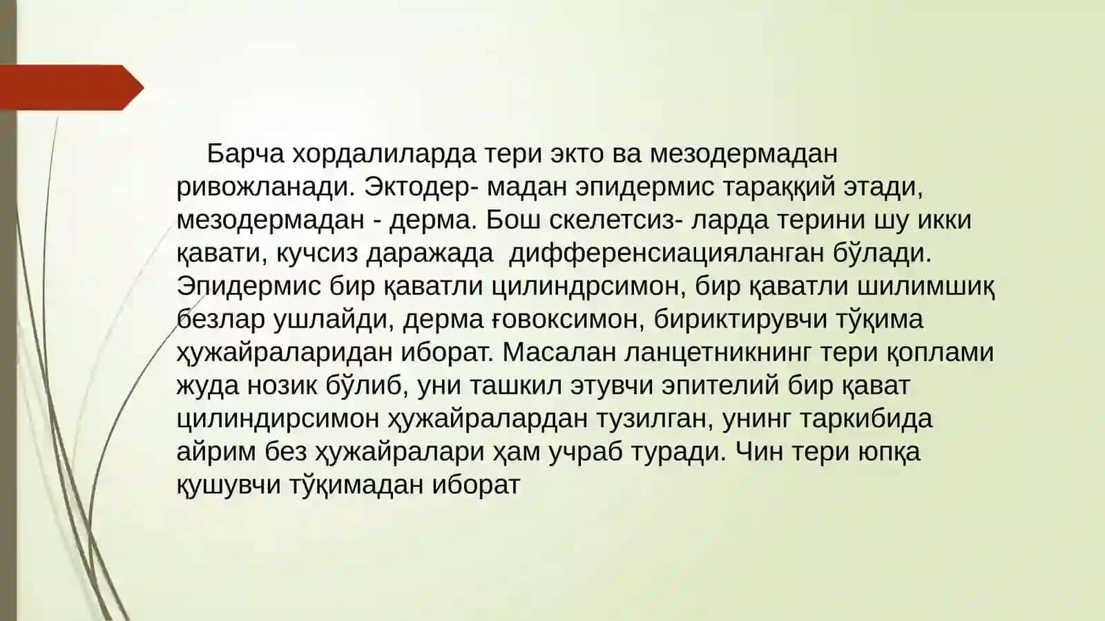 QoplovchivaTayanchharakattizimiontofilogenezi 3