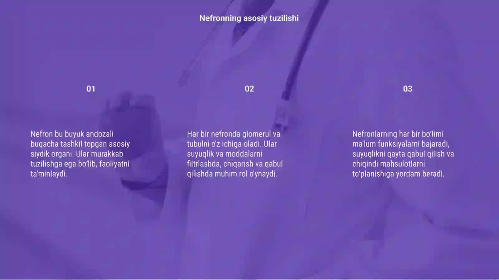 Nefron tuzilishi va uning bolimlari faoliyati 3