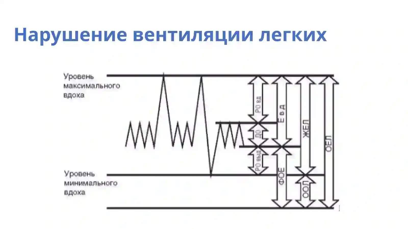 Патофизиология дыхательнойсистемы 3