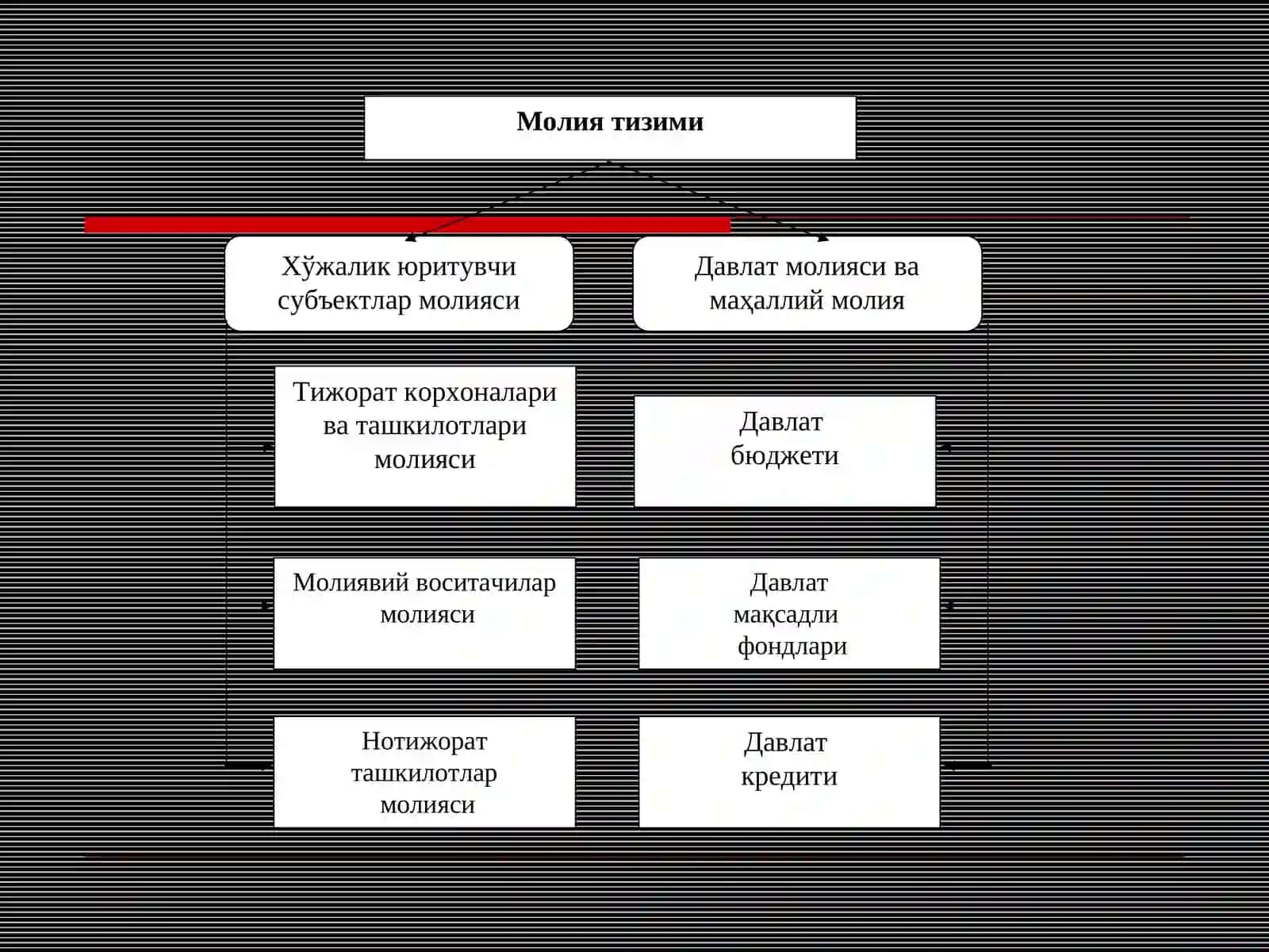 Молия тизими 3
