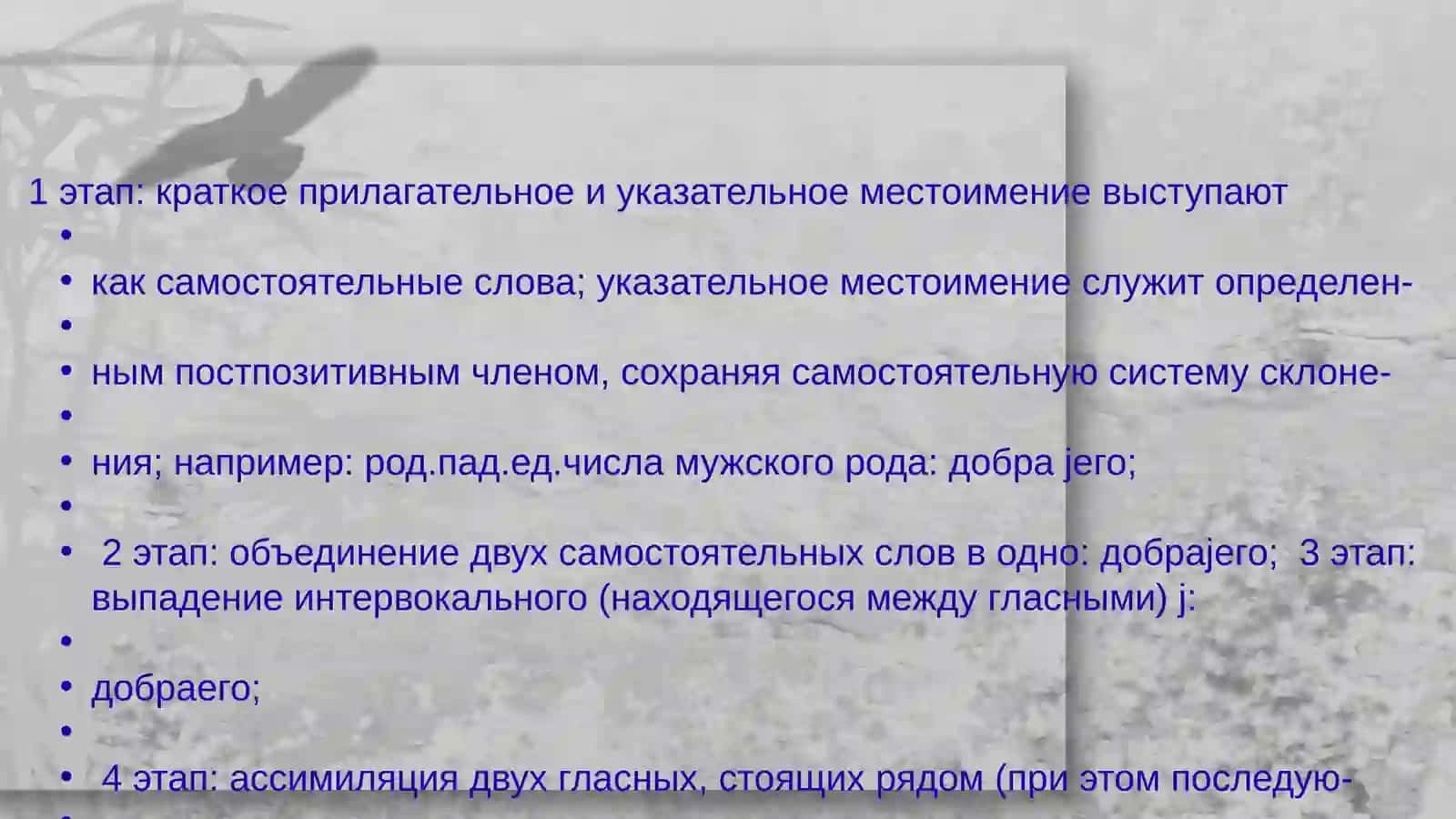 История русского языка 3