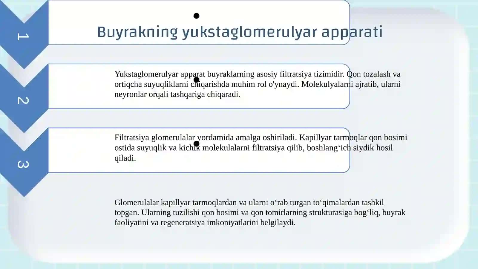 Buyrakning yukstaglomerulyar apparati sitofiziologiyasi. Nefronning gistofiziologiyasi . Buyraklar tuzilishi va regenerator imkoniyatlarining yoshga doir xususiyatlari 3
