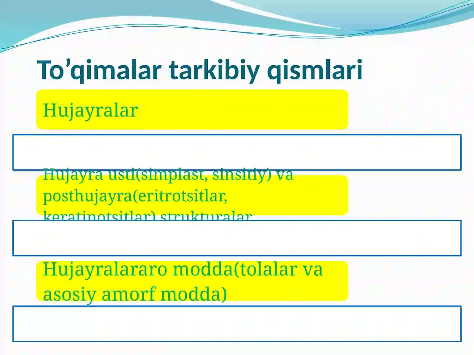 To’qimagistalogiyasi 3