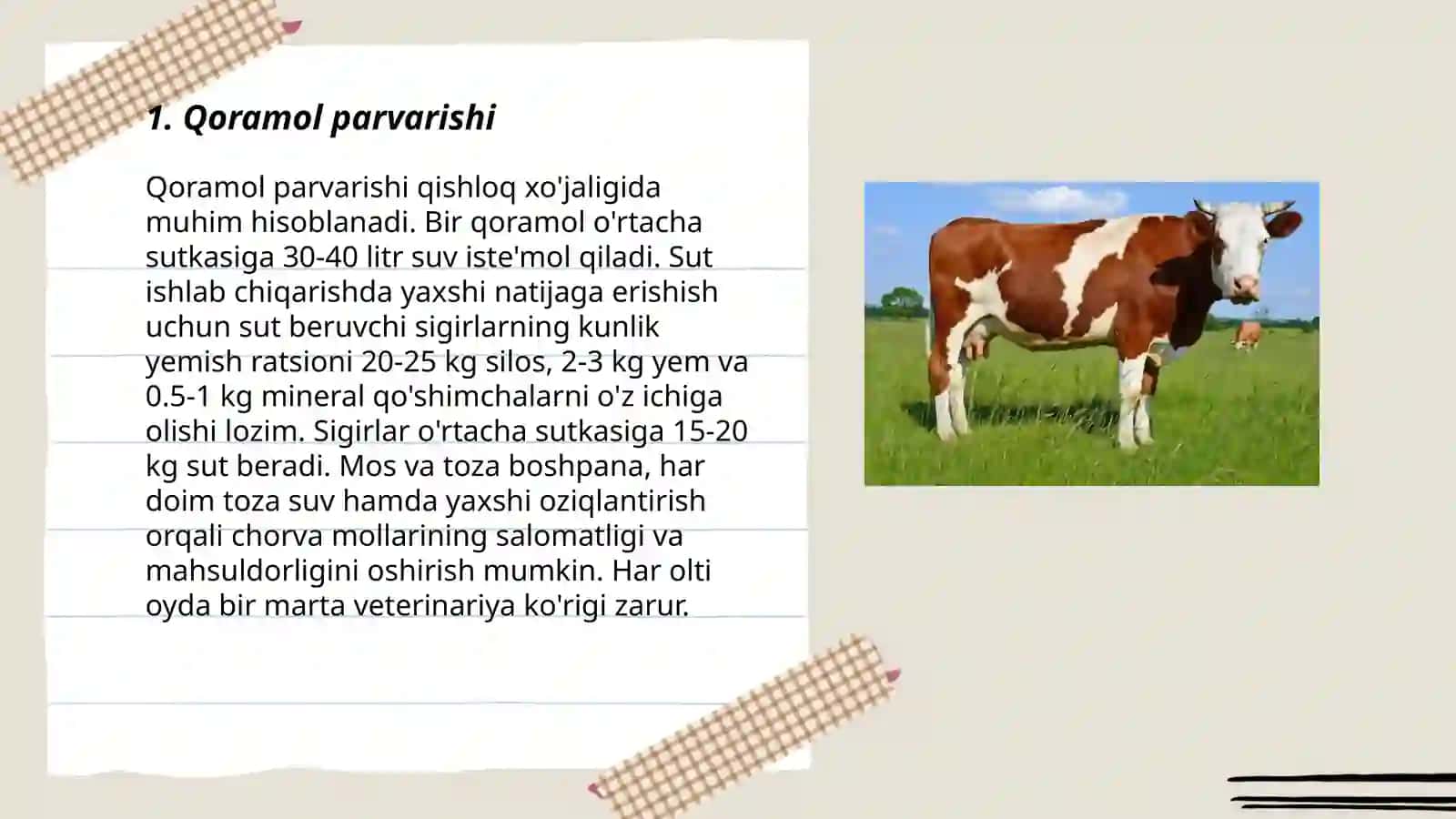 Qoramollar 3