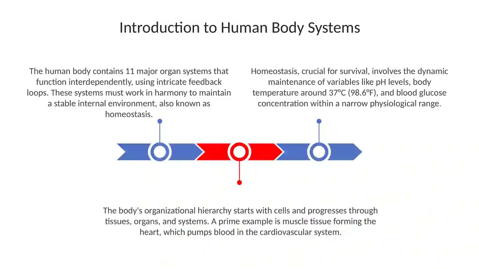 The Human Body Systems in English 3