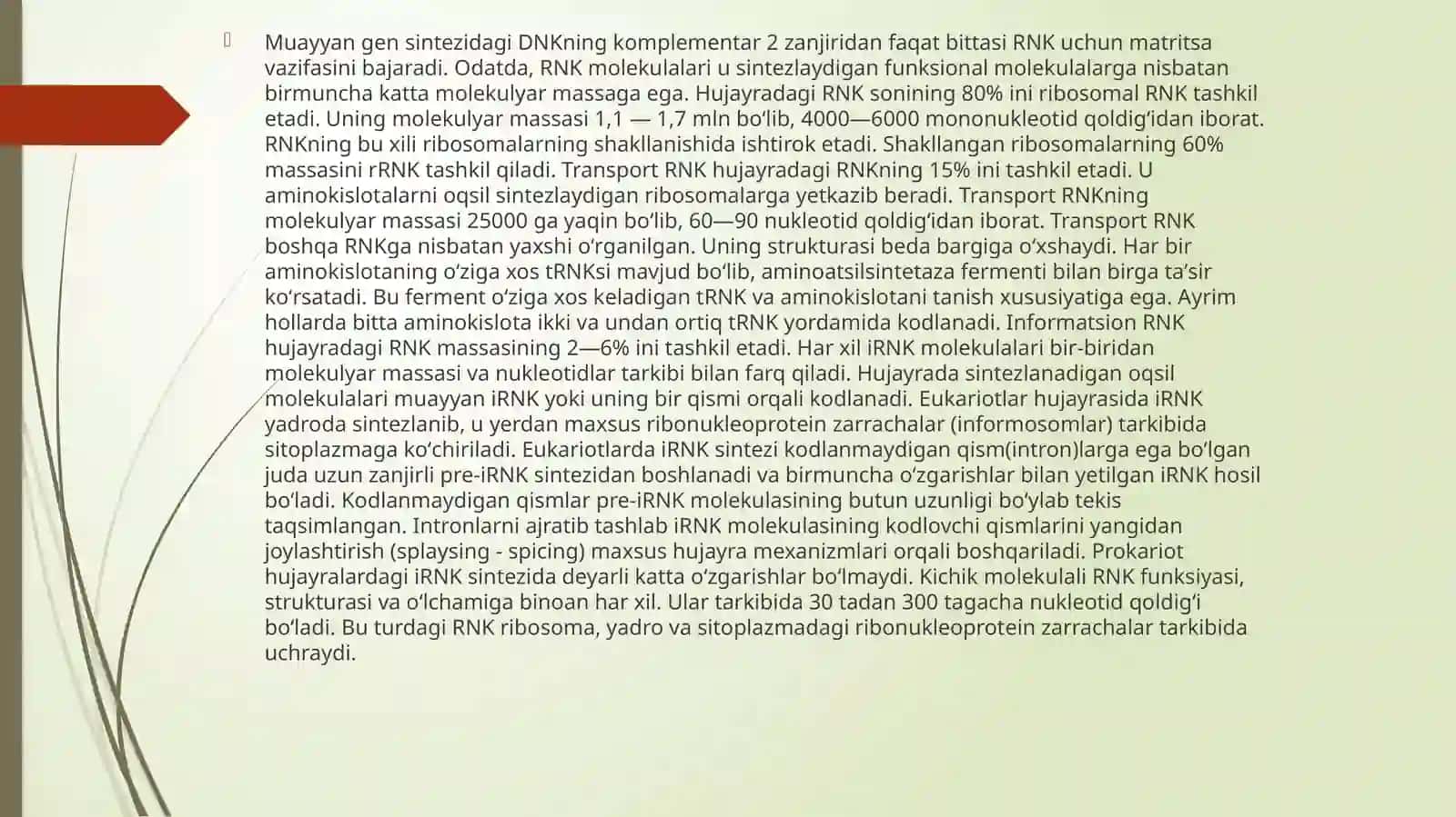 Ribonuklein kislotalar 3