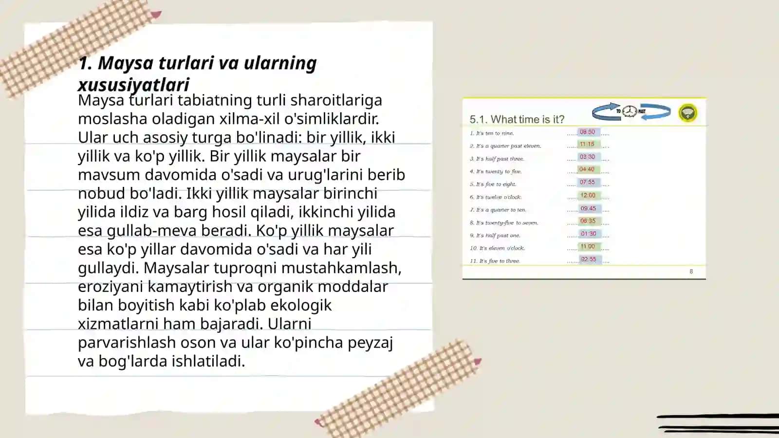 Maysa sutemizuvchilar va ularni parvarishlash yoʻllarini oʻrgatish 3